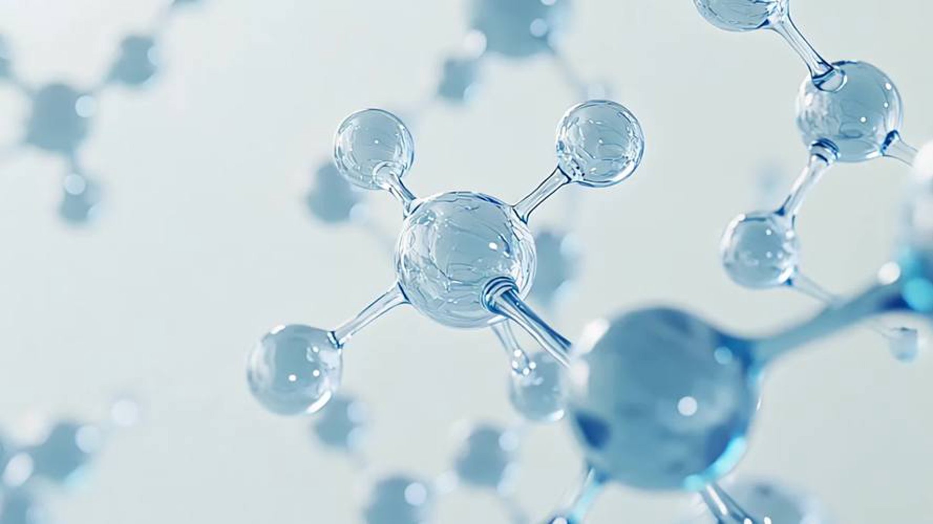 伍六一生物